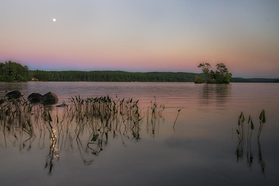 Moon Over Moose #1 Photograph by Darylann Leonard Photography