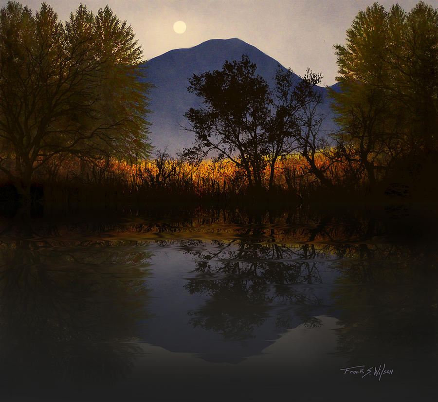 Moonlit Mountain Meadow #1 Photograph by Frank Wilson