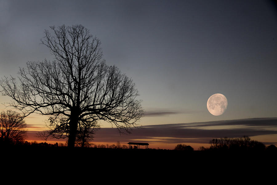 Moonrise #1 Photograph by Robert Camp
