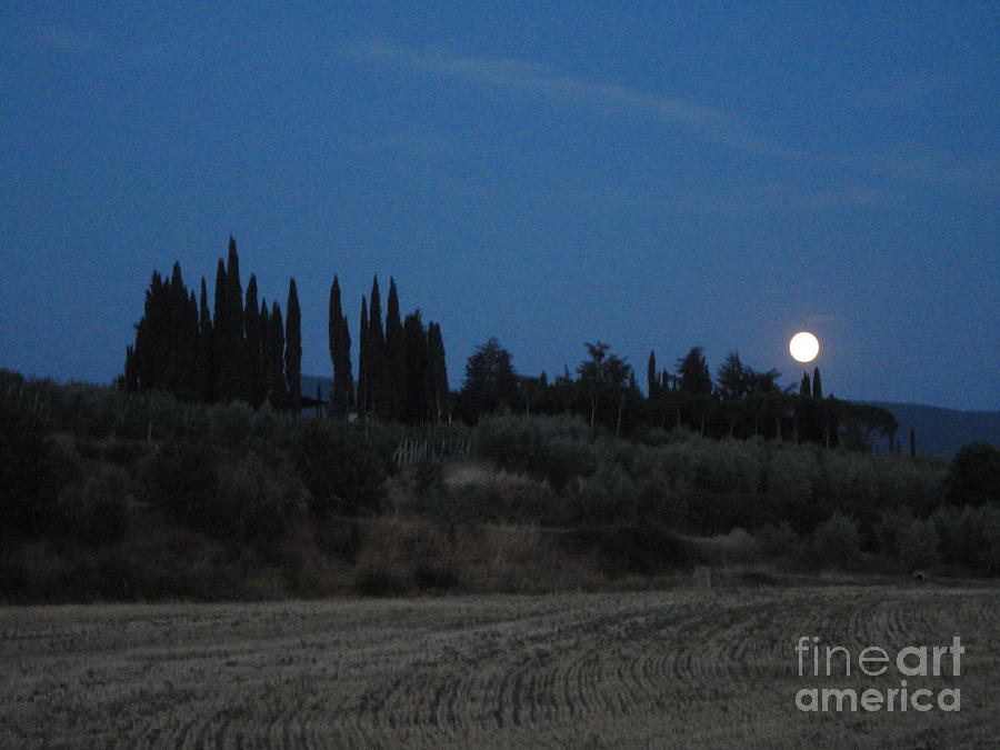Tuscany Photograph - Moonshine In Arezzo 1 by Alessandra Di Noto Tuscany Photograph - Moonshine In Arezzo 1 by Alessandra Di Noto