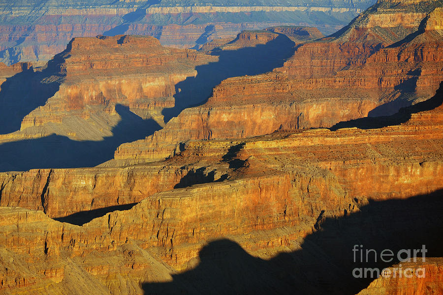 Morning Color and Shadow Play in Grand Canyon National Park #1 Photograph by Shawn OBrien