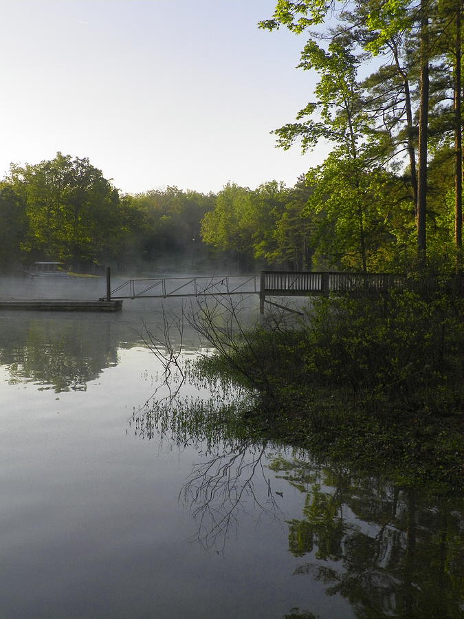 Nature Photograph - Morning Fog On The Lake by Lisa Wooten