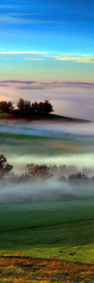 Morning Fog Over Two Rock Valley Diptych Digital Art