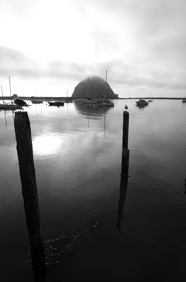 Black And White Photograph - Morro Bay #2 by Viktor Savchenko