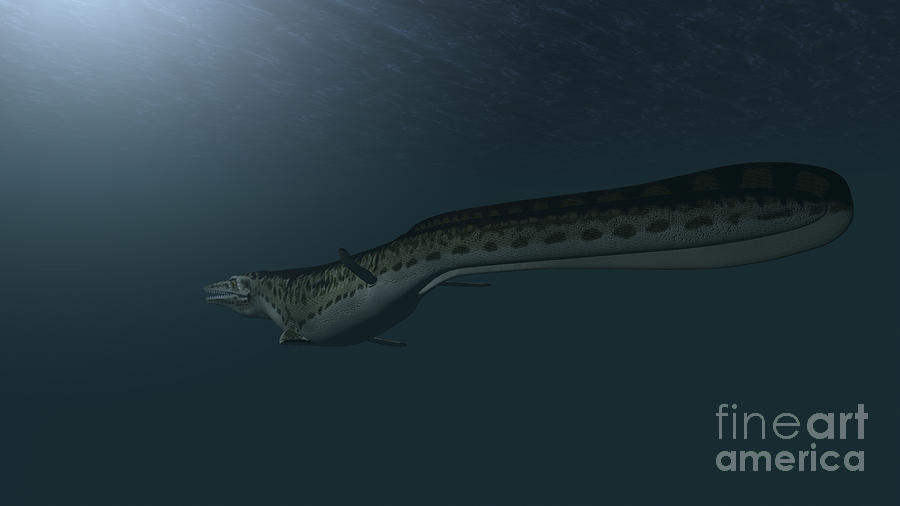 prehistoric swimming dinosaur