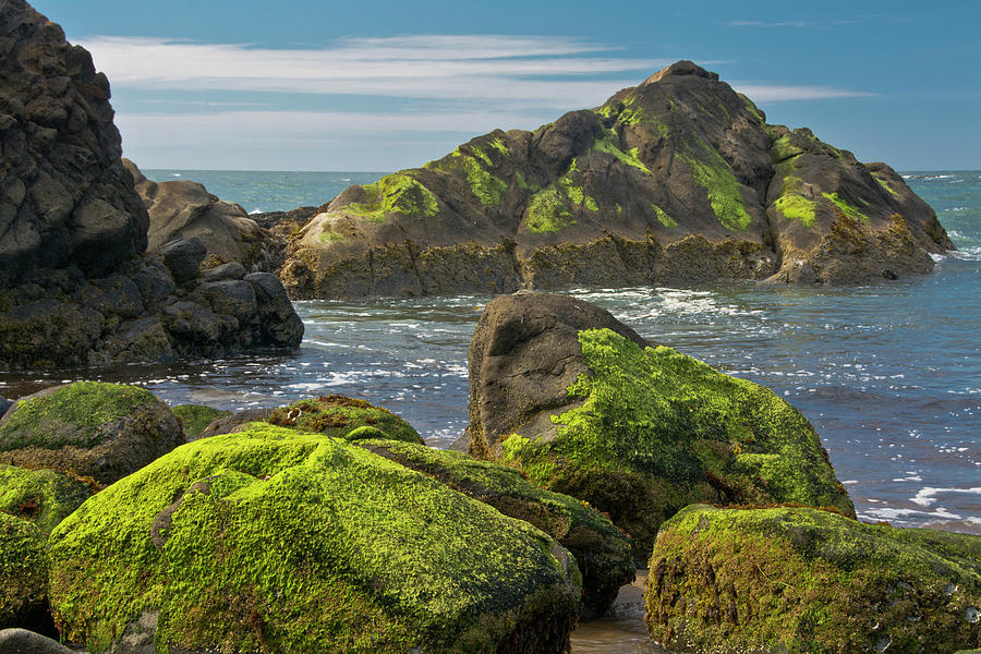 Landscape Photograph - Moss-covered Rocks, Fogarty Creek State #1 by Michel Hersen