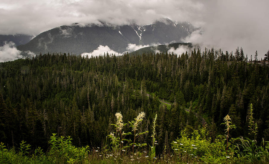 Nature Photograph - Mount Baker #2 by Blanca Braun