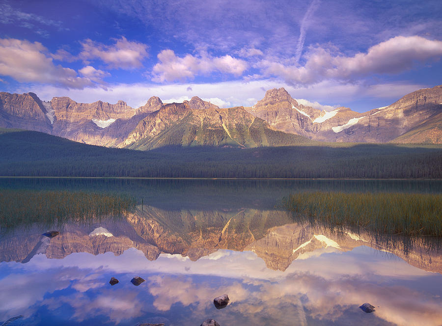 Mount Chephren and Waterfowl Lake #2 Photograph by Tim Fitzharris