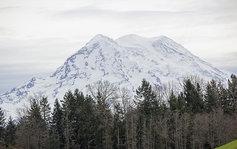 Mount Rainier WA16x Photograph by Cathy Anderson