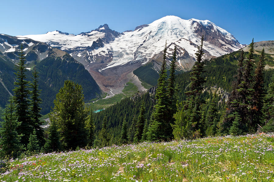 Mount Rainier from Sunrise Photograph by Michael Russell
