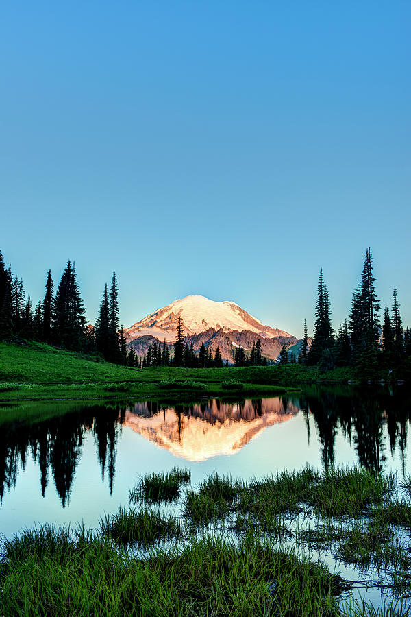 Mount Rainier Reflected In Pond Photograph by Josh Miller Photography ...