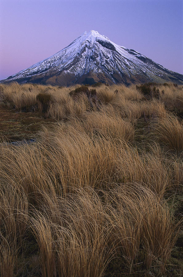 Mount Taranaki At Dusk New Zealand #1 Photograph by Shaun Barnett