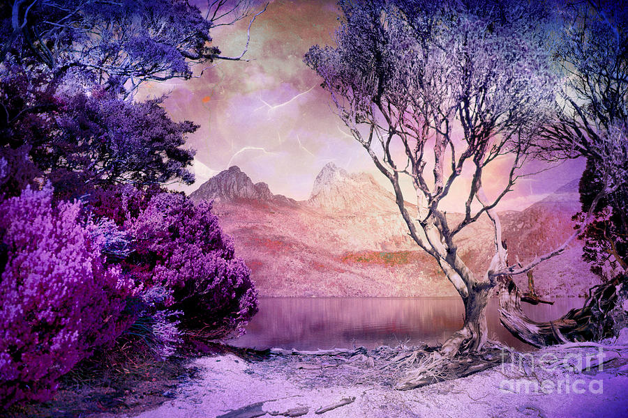 Tree Digital Art - Mountain in Time #1 by Phill Petrovic