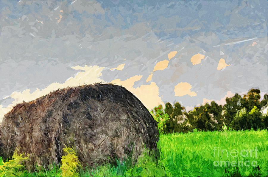 Mountain Pasture Hay Bale #1 Photograph by Ules Barnwell