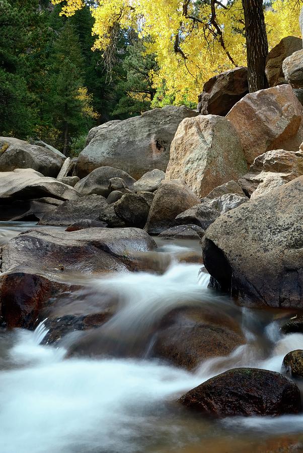 Mountain Stream, Boulder Canyon #1 Photograph by Rivernorthphotography