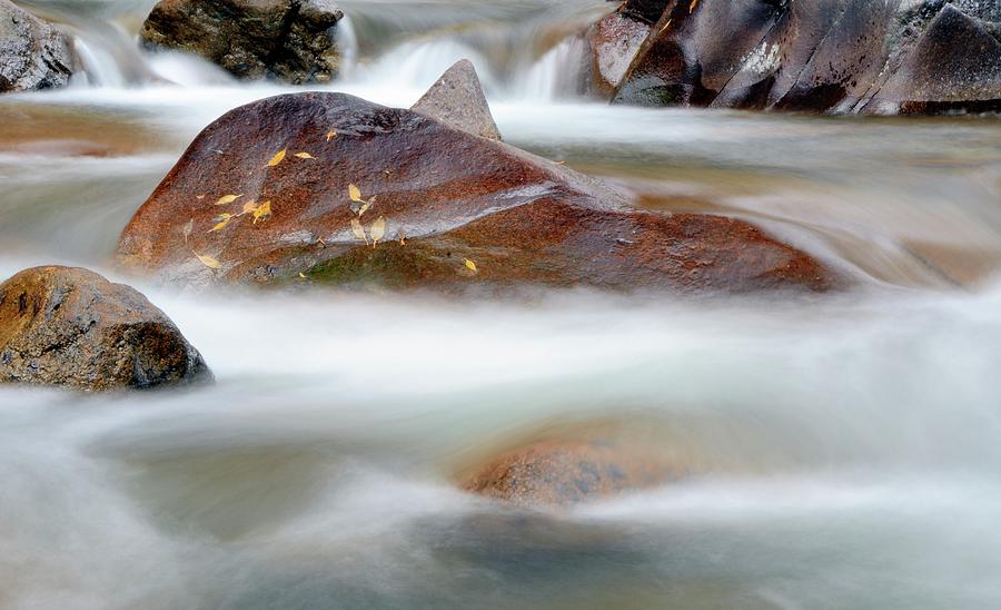 Mountain Stream, St. Vrain Canyon #1 Photograph by Rivernorthphotography