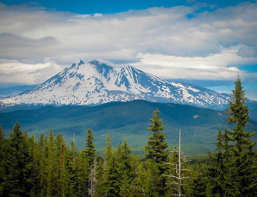 Mt. Adams from Indian Heaven Wilderness #1 Photograph by Patricia Babbitt