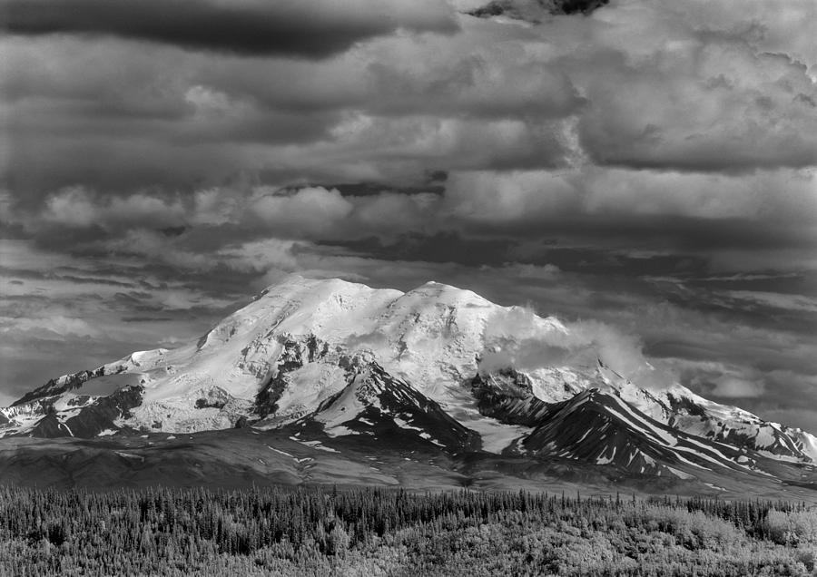 201858-Mt. Drum, Alaska Photograph by Ed  Cooper Photography