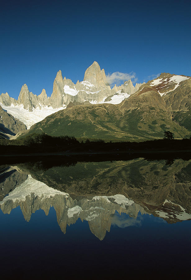 Mt Fitzroy At Dawn Patagonia Photograph by Colin Monteath