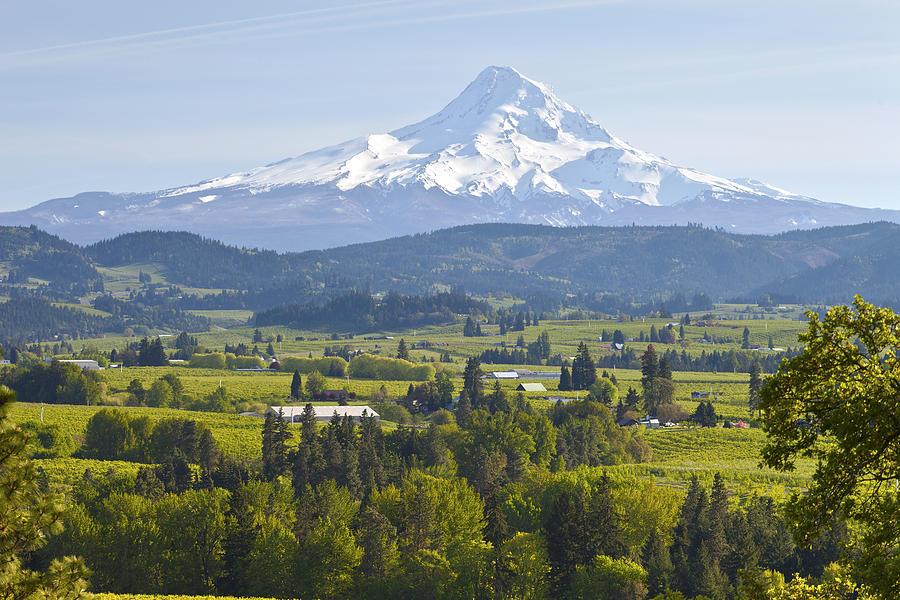 Mt. Hood And Hood River Valley Oregon. Photograph by Gino Rigucci