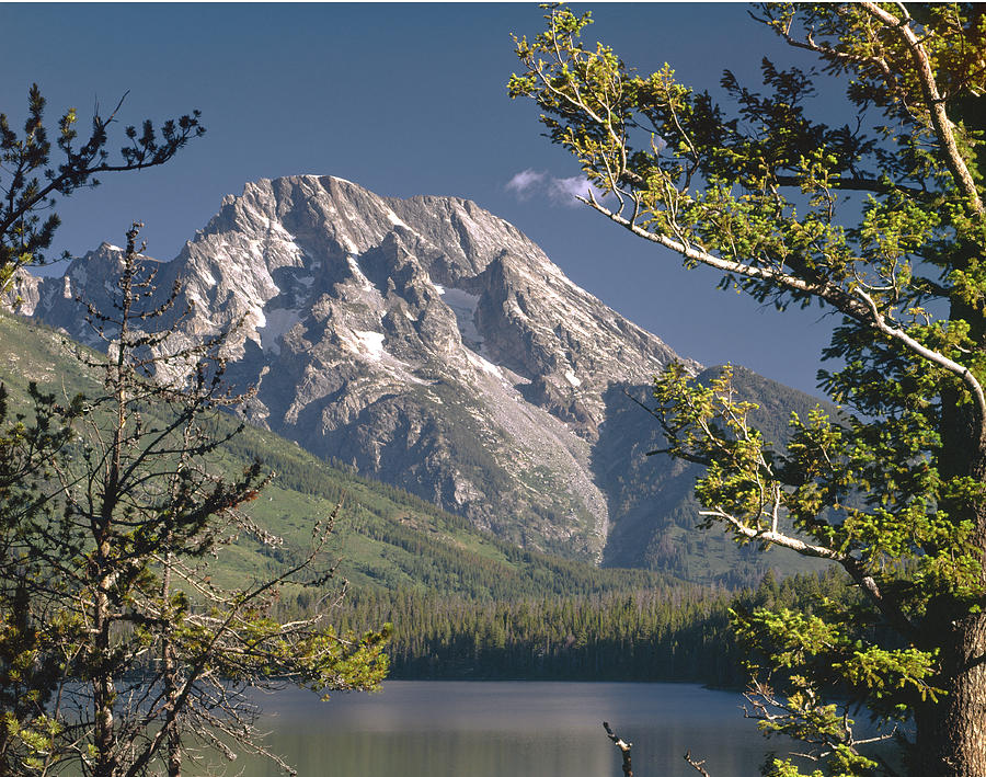 Mt. Moran and Jenny Lake #2 Photograph by Ed  Cooper Photography
