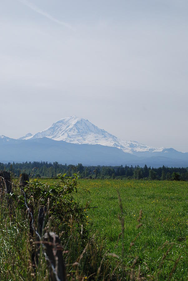 Mt Rainer Photograph by Mary Griffin - Fine Art America