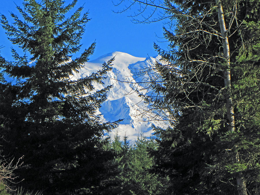 Mt. Rainier I #1 Photograph by Tikvahs Hope