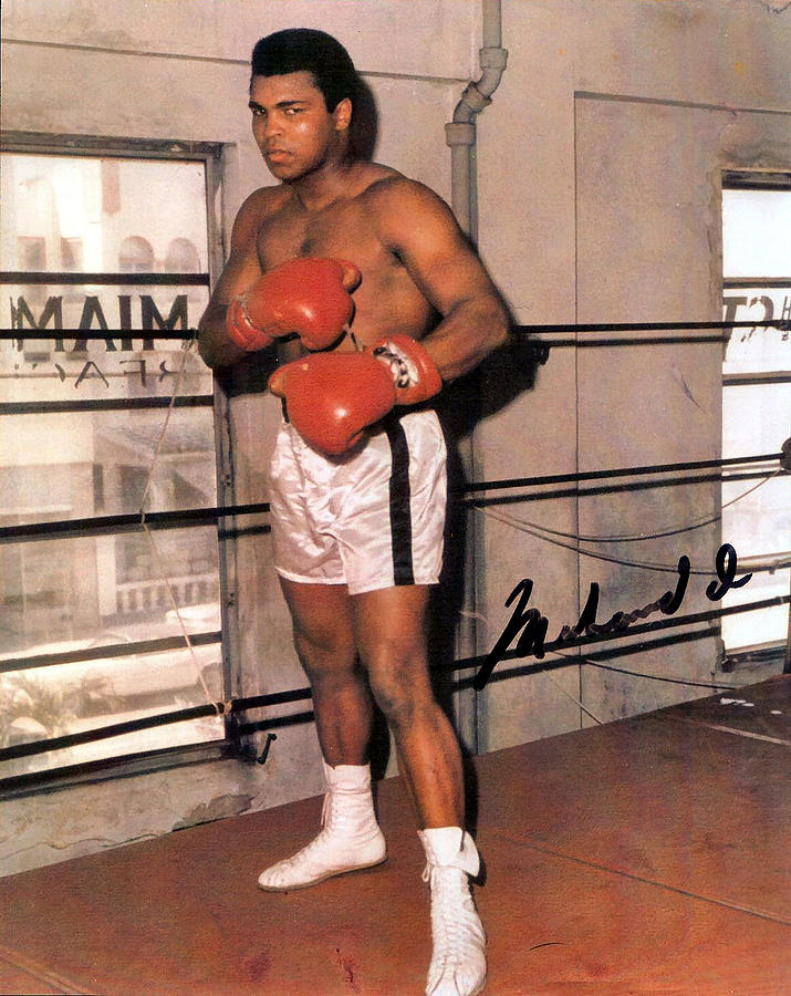 Muhammad Ali Digital Art - Muhammad Ali #1 by Unknown