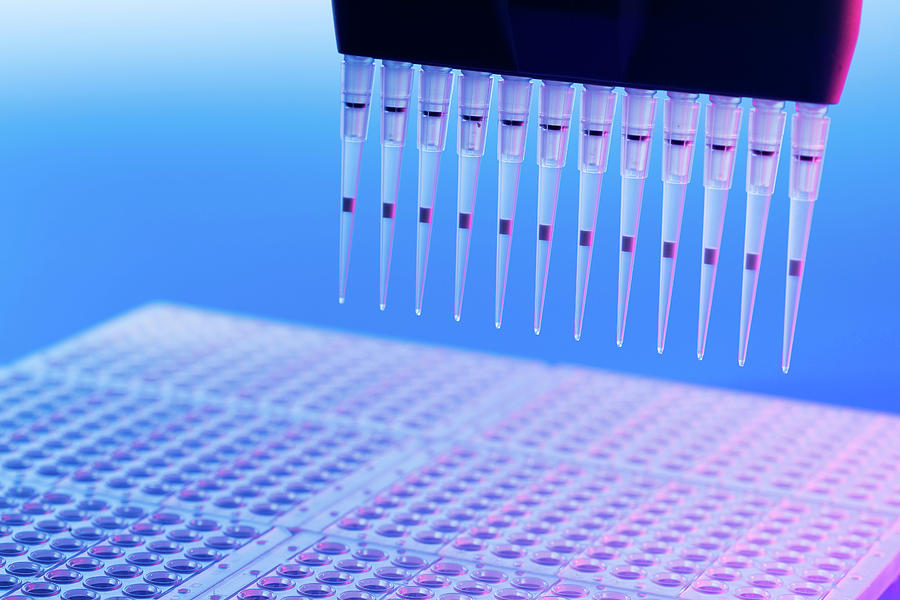 Multi Pipette And Multi-well Tray Photograph by Wladimir Bulgar/science ...