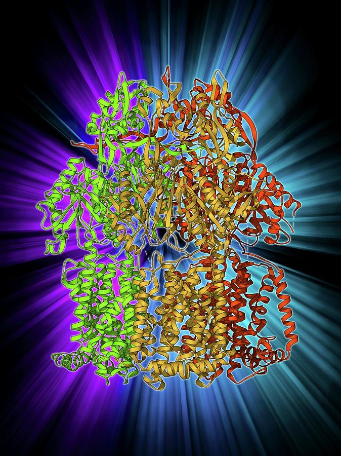 Multidrug Efflux Pump Molecule #1 Photograph by Laguna Design