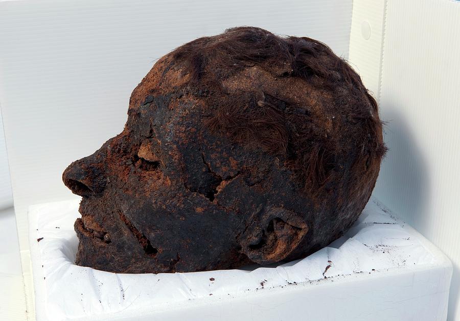 Paris Photograph - Mummified Egyptian Head #1 by Pascal Goetgheluck/science Photo Library
