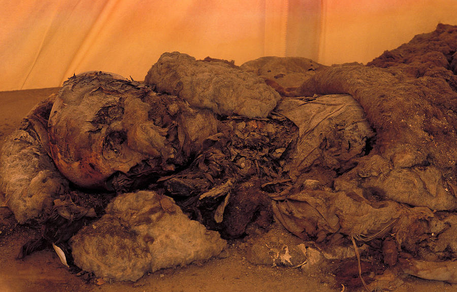 Skull Photograph - Mummified Remains From Al-fustat #1 by Pascal Goetgheluck/science Photo Library