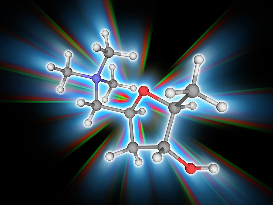 Muscarine Organic Compound Molecule Photograph By Laguna Designscience Photo Library Pixels 3099