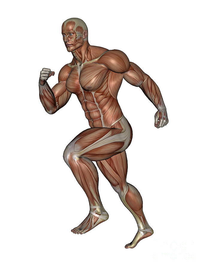 Muscular Man Running Digital Art