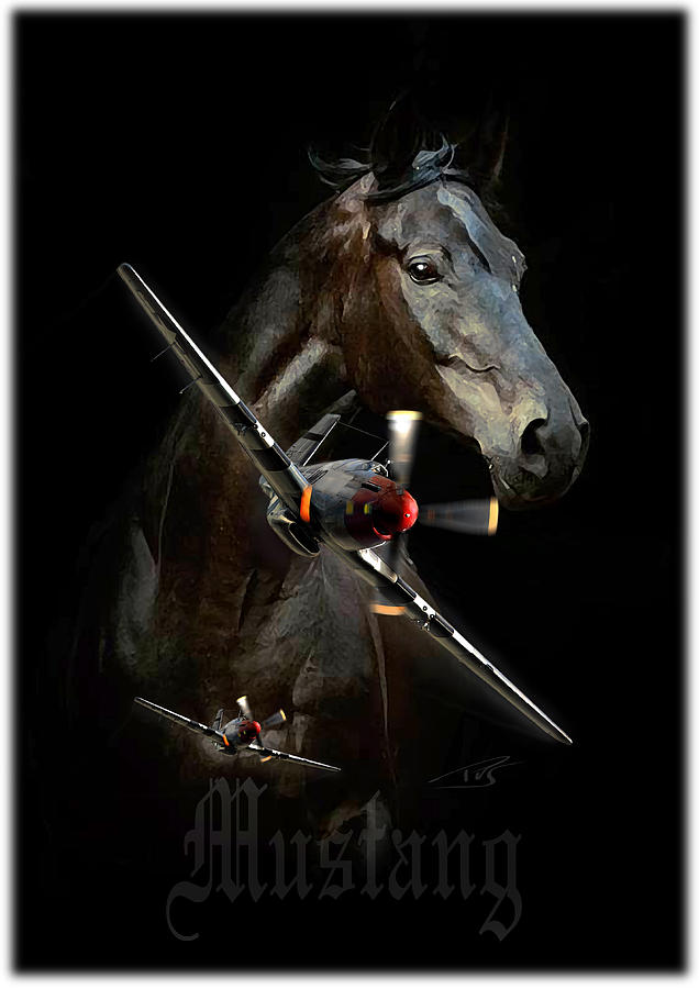 Mustang #1 Digital Art by Peter Van Stigt