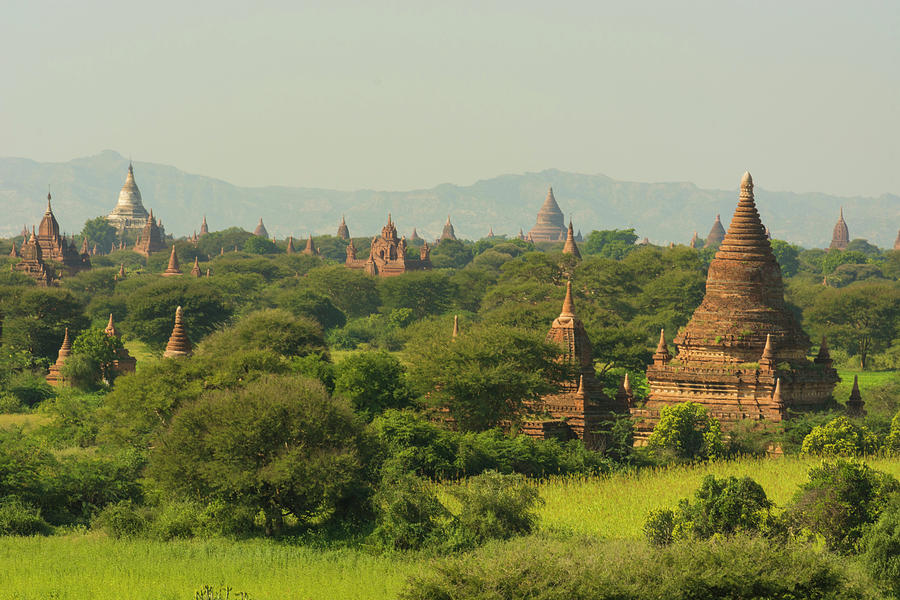 Myanmar Bagan The Plain Of Bagan Photograph by Inger Hogstrom - Fine ...