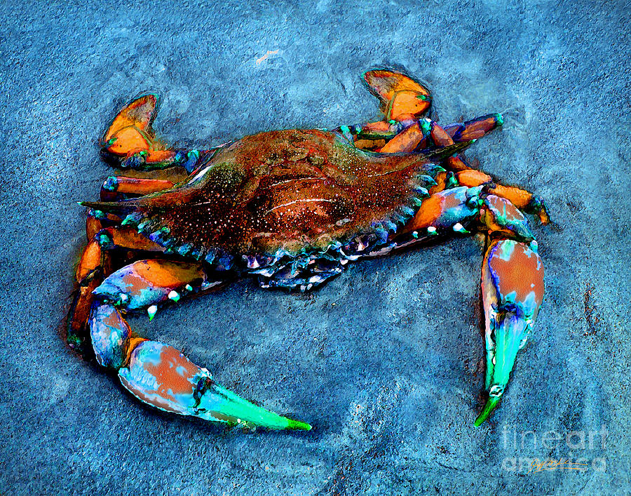 Huntington Beach Digital Art - Crabby Blue by Jeff McJunkin