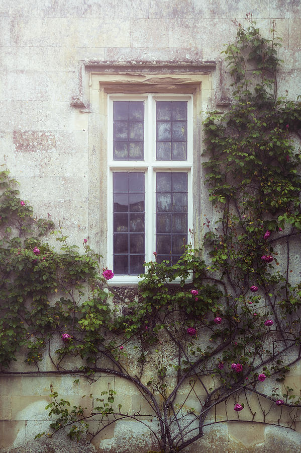 Rose Photograph - Mysterious Window #1 by Joana Kruse