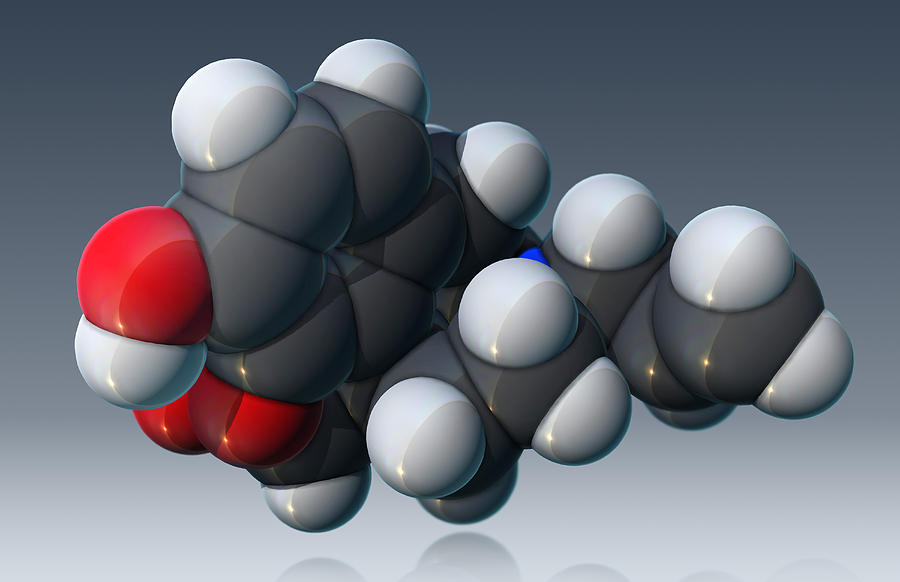 Naloxone, Molecular Model #1 Photograph by Evan Oto
