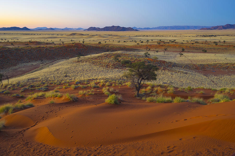 Namib-Naukluft national park at sunset Photograph by Marco Bottigelli ...