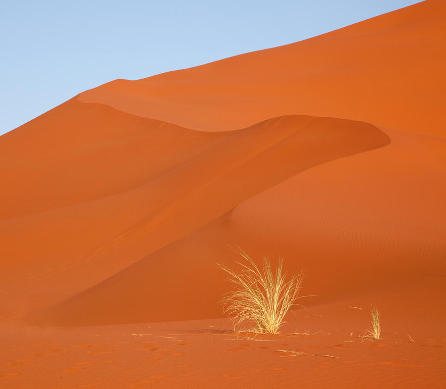 Desert Photograph - Namibia, Namib-naukluft Park #1 by Jaynes Gallery