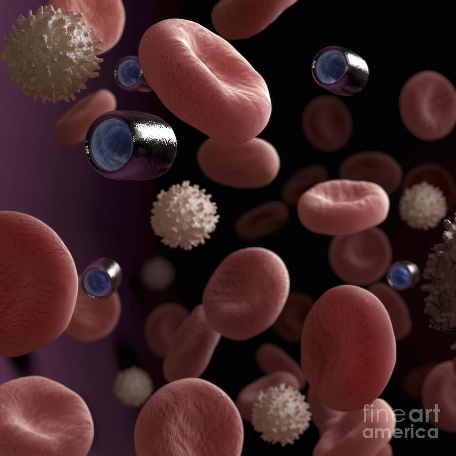 Nanobots In The Blood #1 Photograph by Science Picture Co