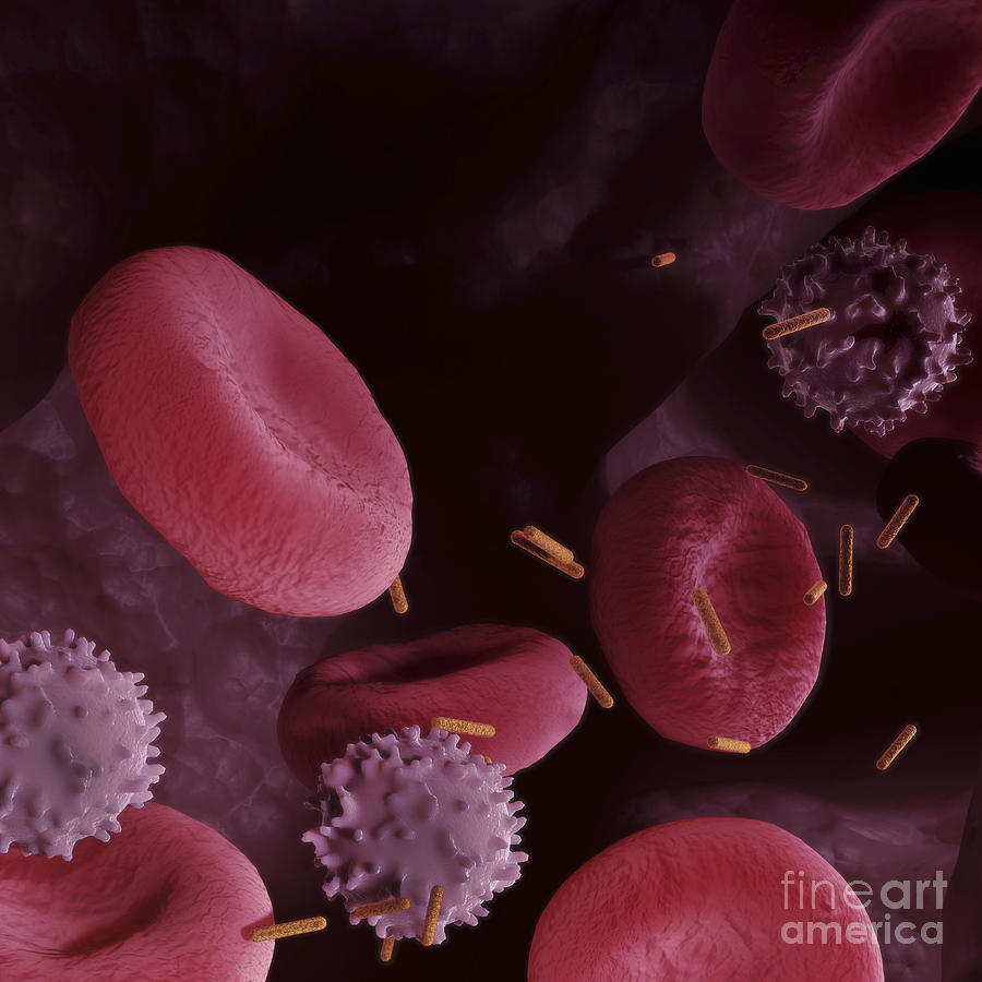 Nanorods In The Blood #1 Photograph by Science Picture Co