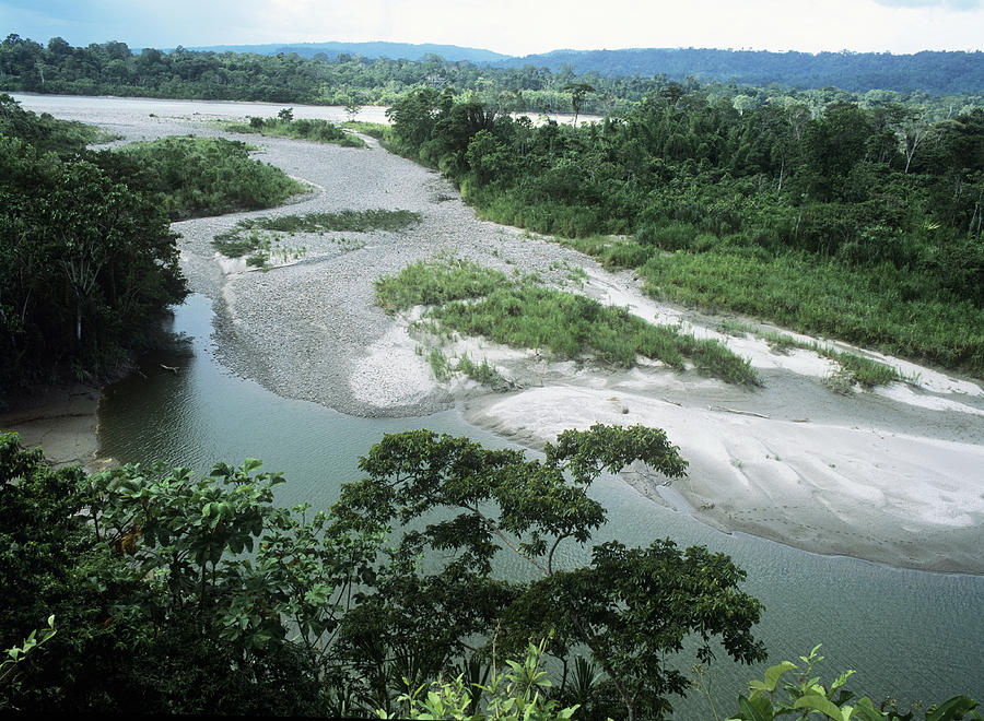 Napo River Photograph by Dr Morley Read/science Photo Library