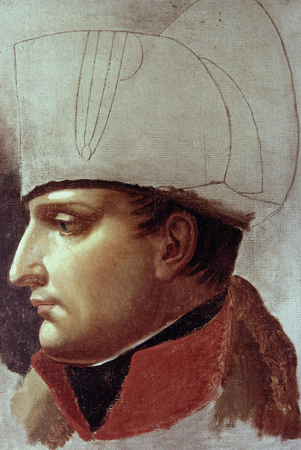 Napoleon Bonaparte #1 Painting by Granger