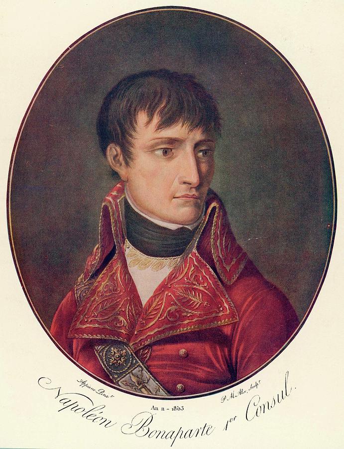 Napoleon I As First Consul, 1803 Drawing by Mary Evans Picture Library