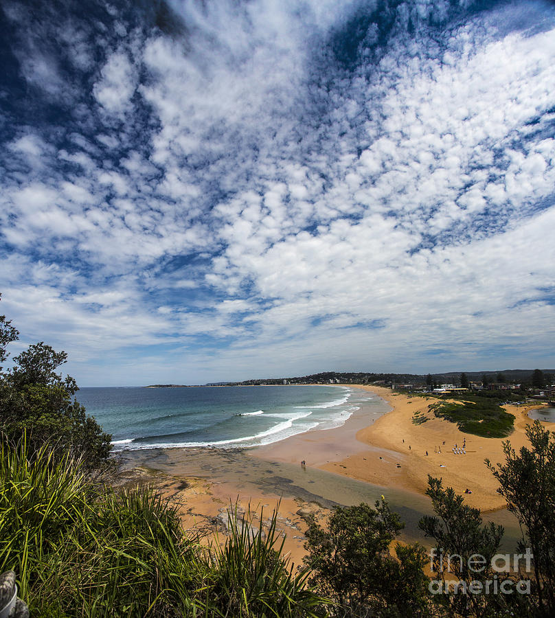 Sydney Photograph - Narrabeen Beach #1 by Sheila Smart Fine Art Photography
