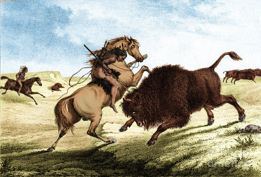Native American Indian Buffalo Hunting #1 by Photo Researchers