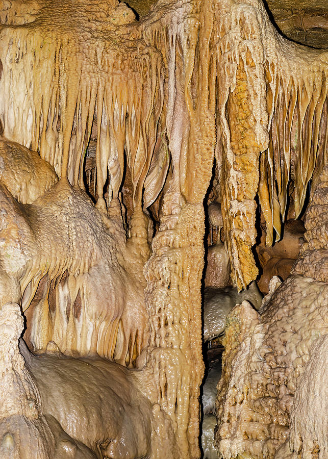 Natural Bridge Caverns, San Antonio, Tx #1 Photograph by Millard H. Sharp