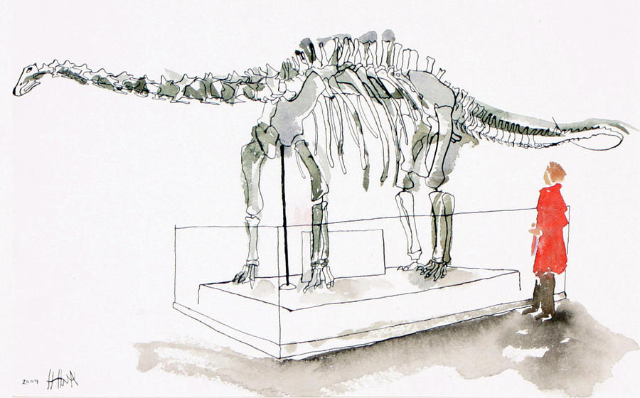 Natural History Museums Diplodocus #1 Photograph by Natural History Museum, London/science Photo Library